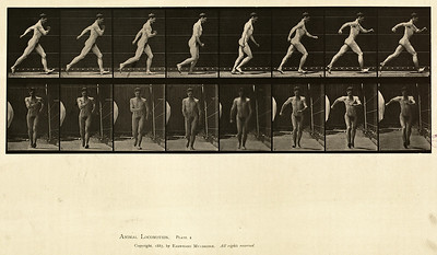 3 - Vol 1 - Plate 4